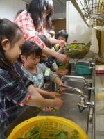 平成24年度 菜の花摘み(4/10)